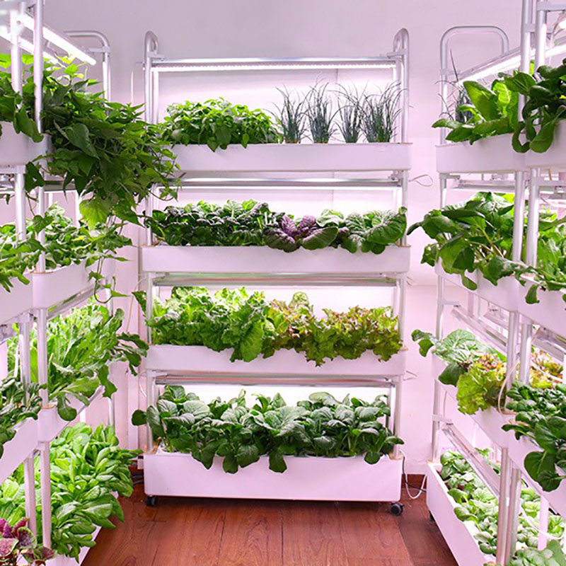 Smart Garden Box - Sistema de cultivo hidropônico vertical inteligente