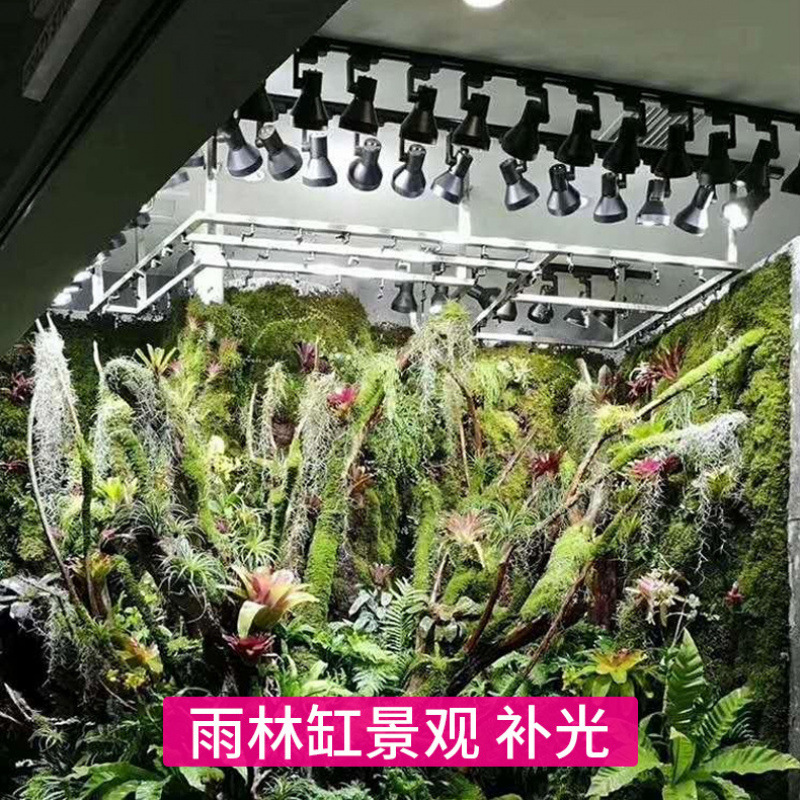 Lâmpada LED de Cultivo de Espe - Plant Grow Light Full Spectrum avaliação e preço