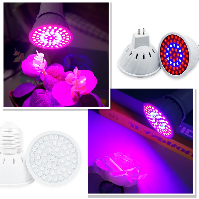 Phyto lâmpada espectro complet - Plant Grow Light Full Spectrum avaliação e preço