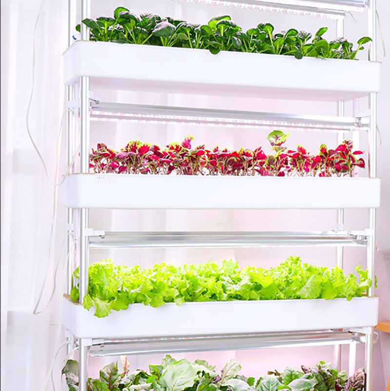 Sistema de cultivo hidropônico - Smart Garden Box avaliação e preço