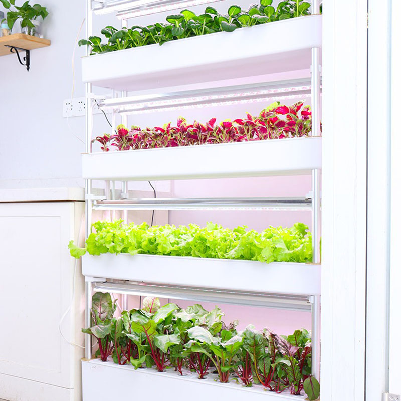 Sistema de cultivo hidropônico - Smart Garden Box avaliação e preço