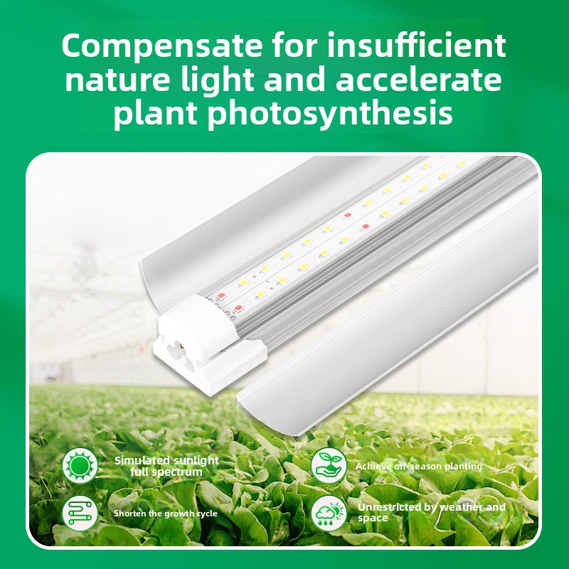 Lâmpada LED T8 de Espectro Com - Plant Grow Light Full Spectrum avaliação e preço