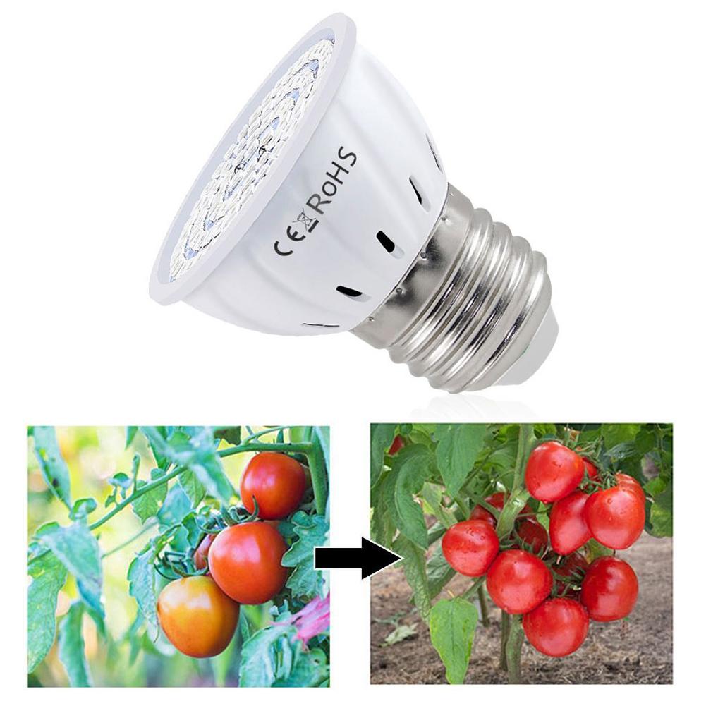Lâmpada LED para Cultivo E27 6 - Plant Grow Light Full Spectrum avaliação e preço
