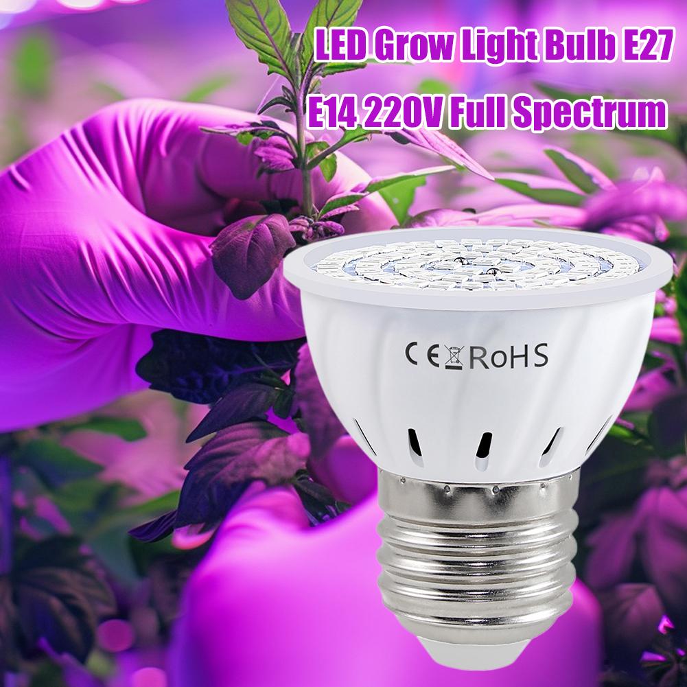 Lâmpada LED para Cultivo E27 6 - Plant Grow Light Full Spectrum avaliação e preço