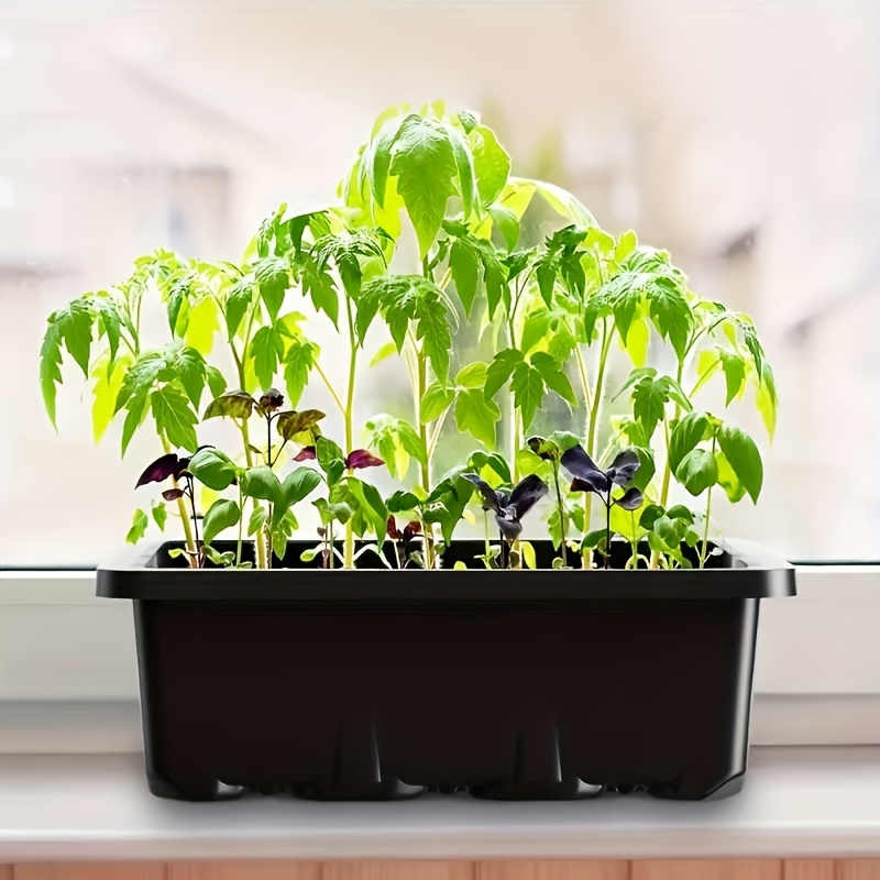 Kit de Iniciação para Mudas 1/ - Plant Grow Light Full Spectrum avaliação e preço