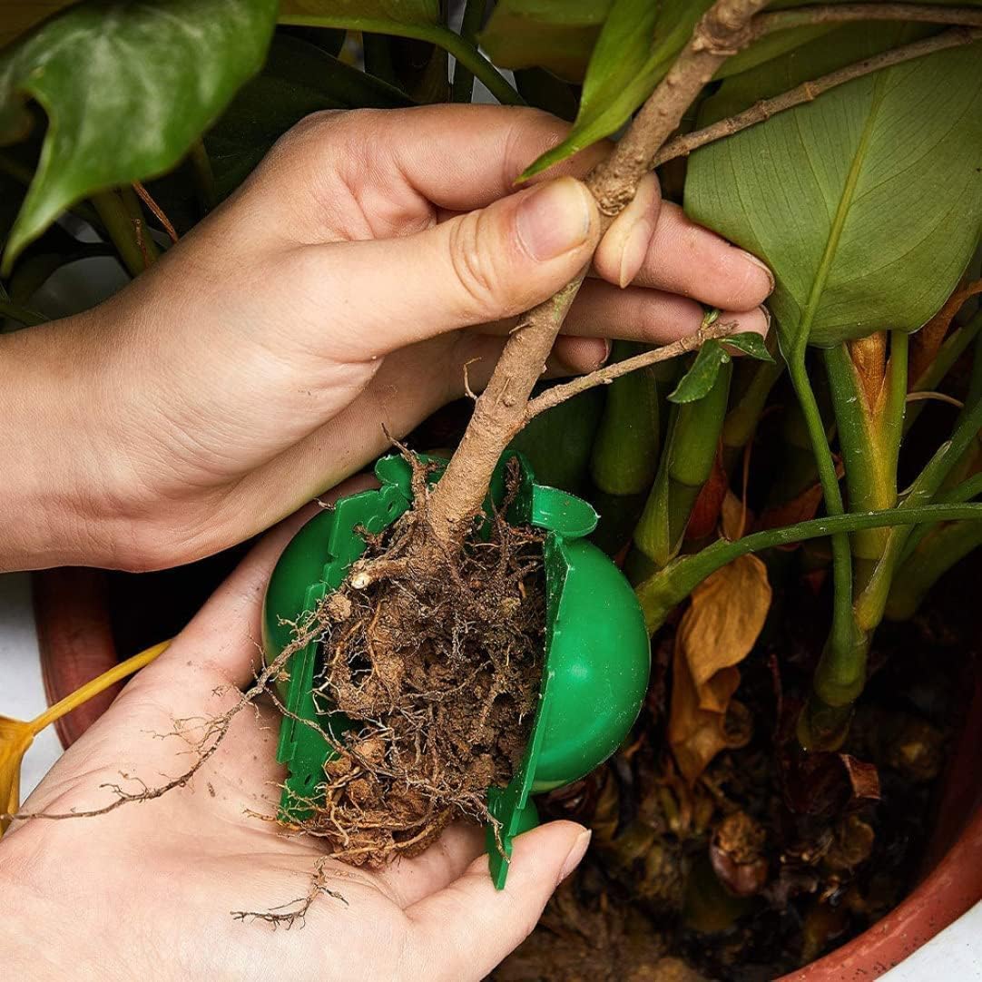 Bola Reutilizável para Enraiza - Smart Garden Box avaliação e preço