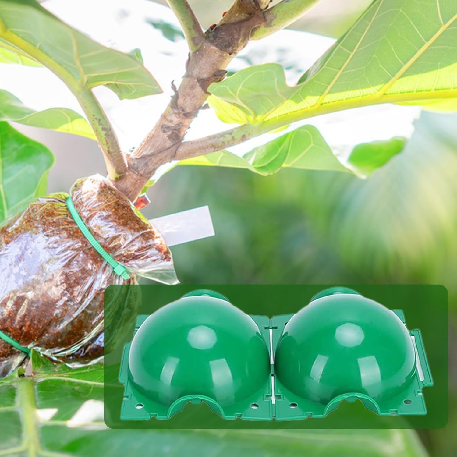 Bola Reutilizável para Enraiza - Smart Garden Box avaliação e preço