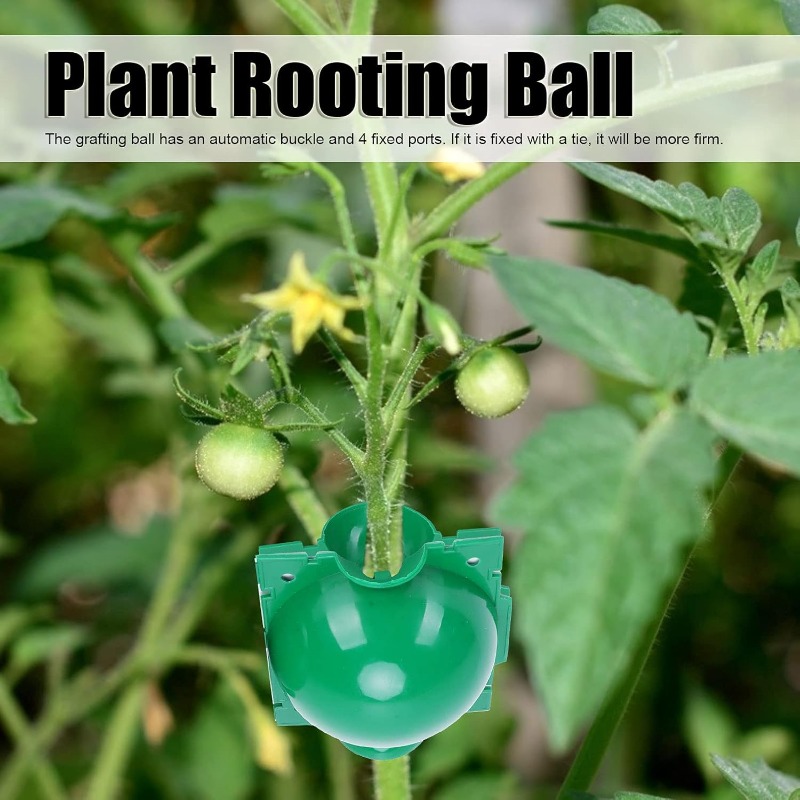 Bola Reutilizável para Enraiza - Smart Garden Box avaliação e preço