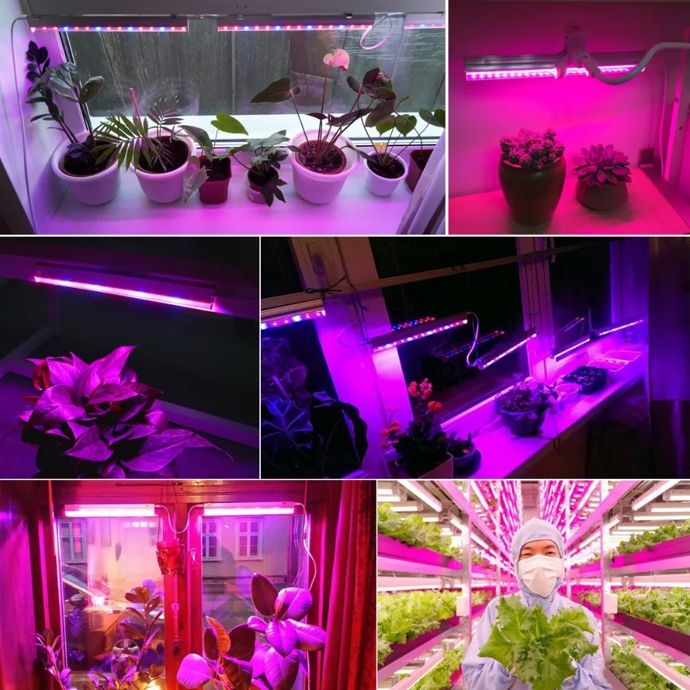Lâmpada LED de 12 Polegadas pa - Plant Grow Light Full Spectrum avaliação e preço