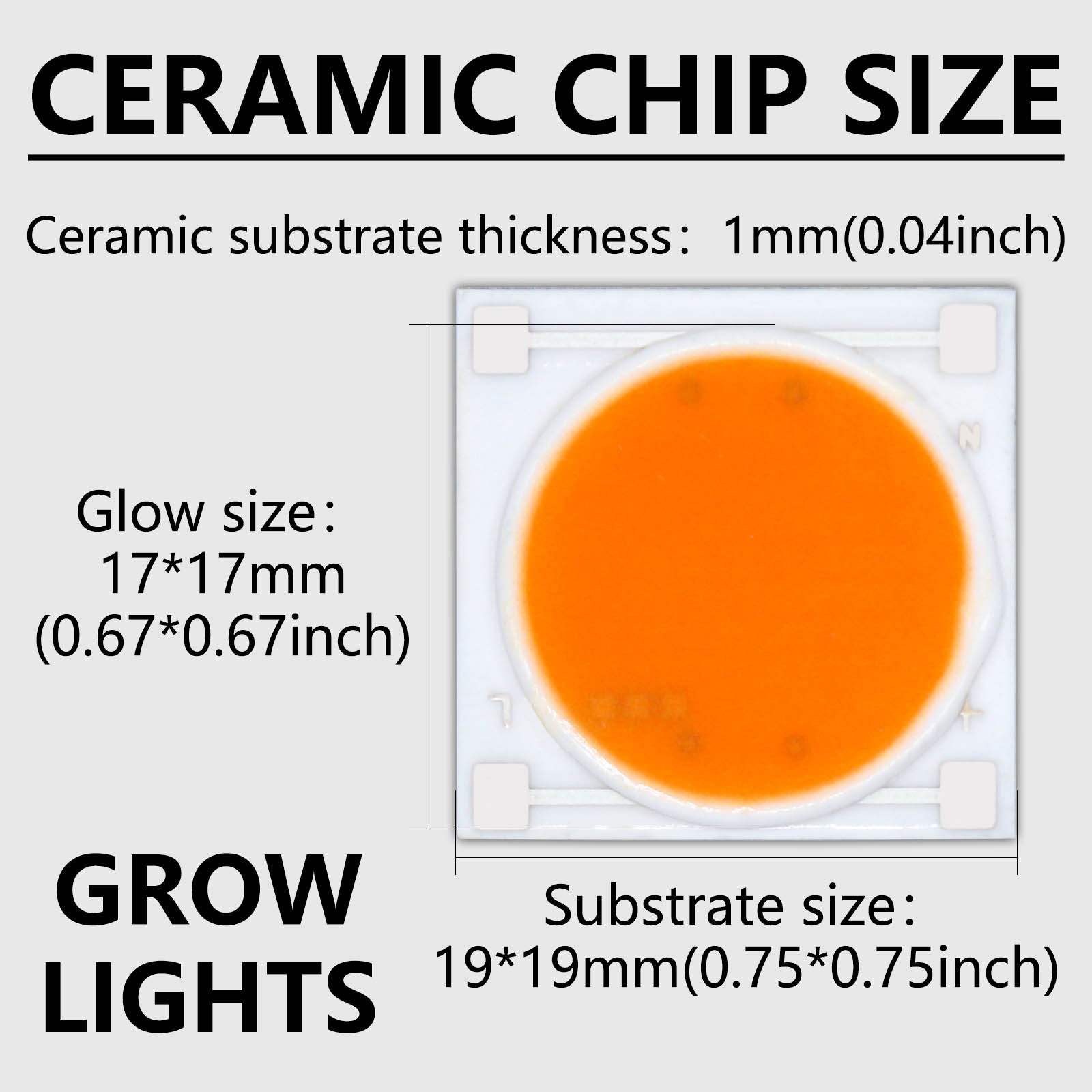 5 peças base de cerâmica led c - Plant Grow Light Full Spectrum avaliação e preço