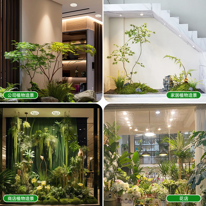 Lâmpada LED de Crescimento de  - Plant Grow Light Full Spectrum avaliação e preço